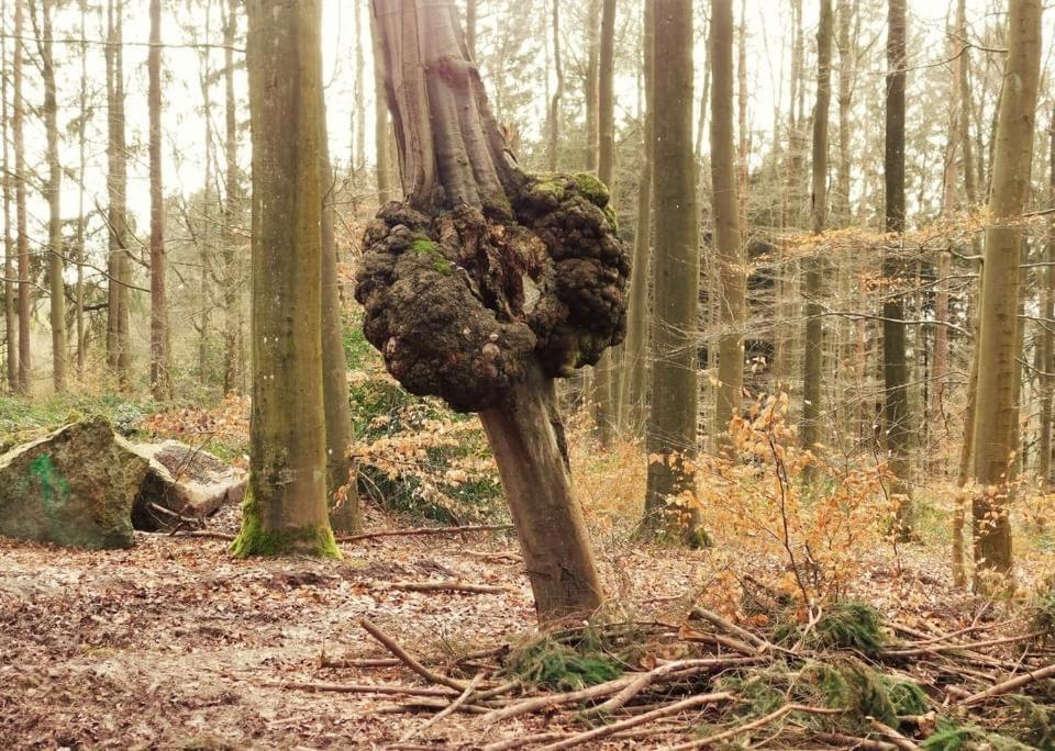 Le Chant De L Aisne Érezée Exterior foto